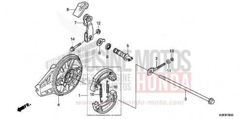 BREMSPLATTE, HINTEN CRF125FH de 2017